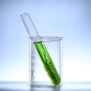 Les algues comme alternative aux filtres UV actuels by Expertox