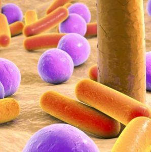 La meilleure histoire du moment : Microbiote et peau via La Cosmétothèque