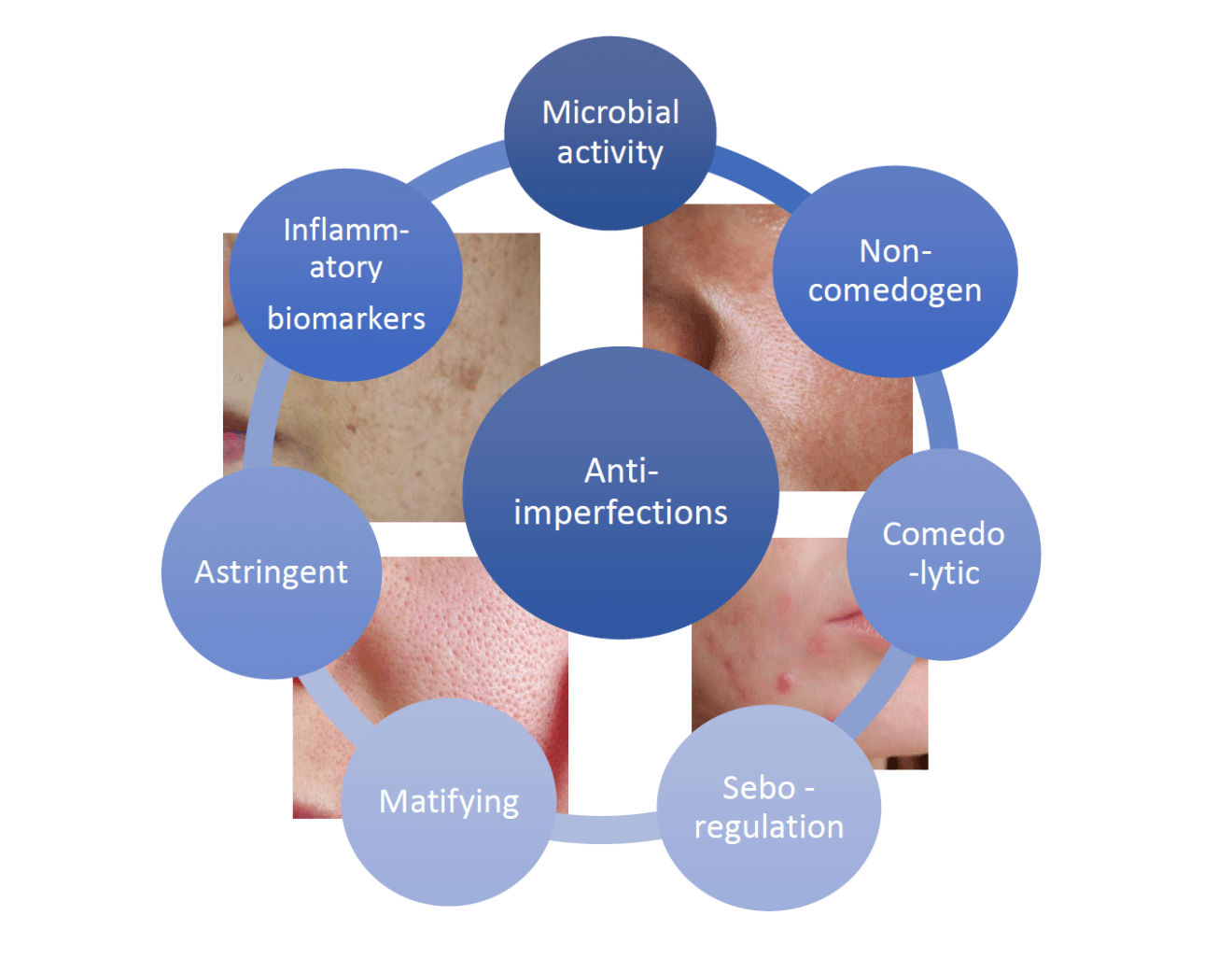 Evaluation of the Efficacy of cosmetic products against skin ...