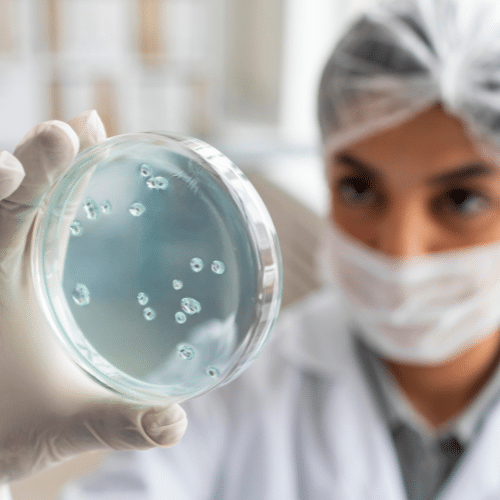 Toxicologie & Microbiologie