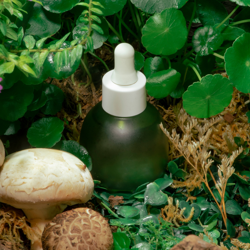Flacon pipette cosmétique au milieu de plantes vertes.