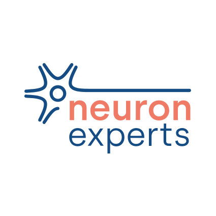 Neuron Experts