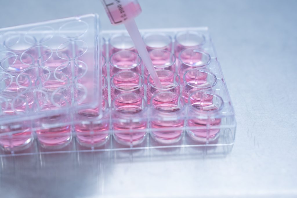 Plaque de culture cellulaire avec pipette rose