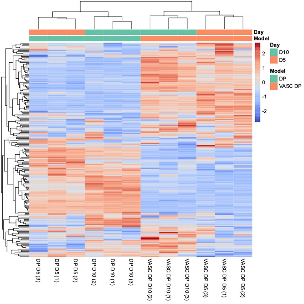 Carte thermique de l'expression génique.