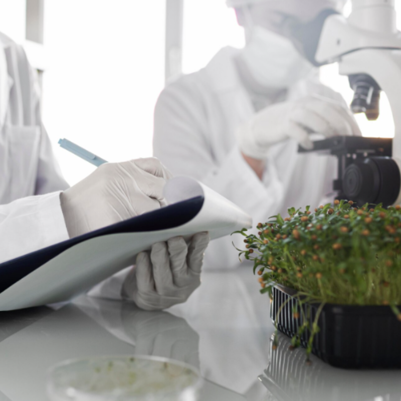 Scientifiques analysant des plantes en laboratoire.